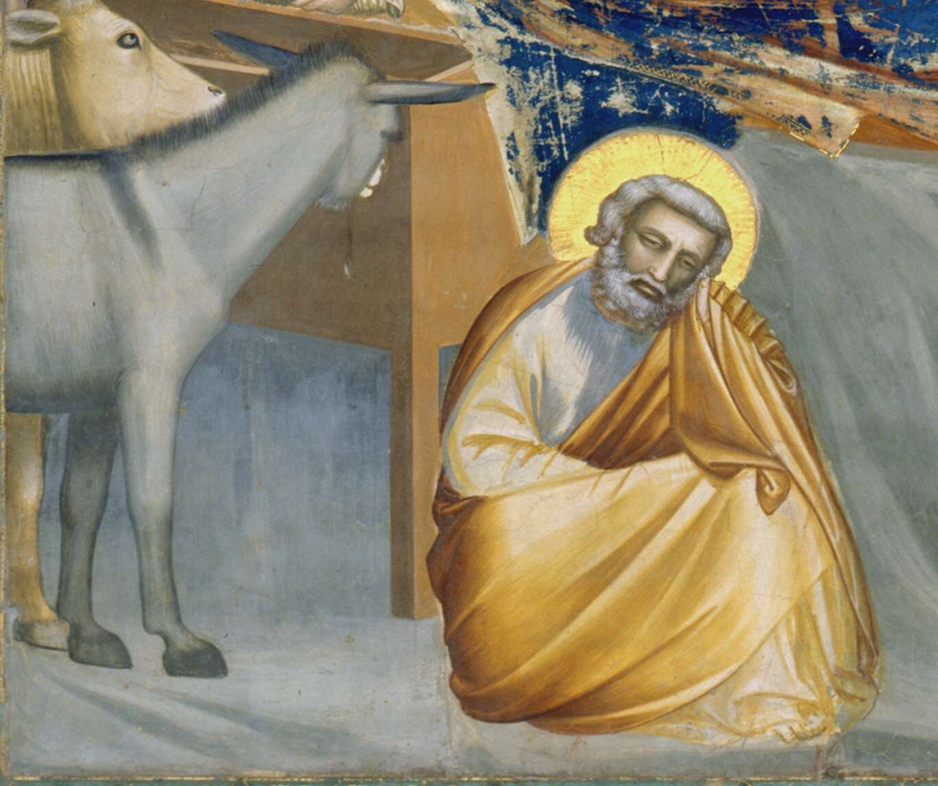 Giotto 4